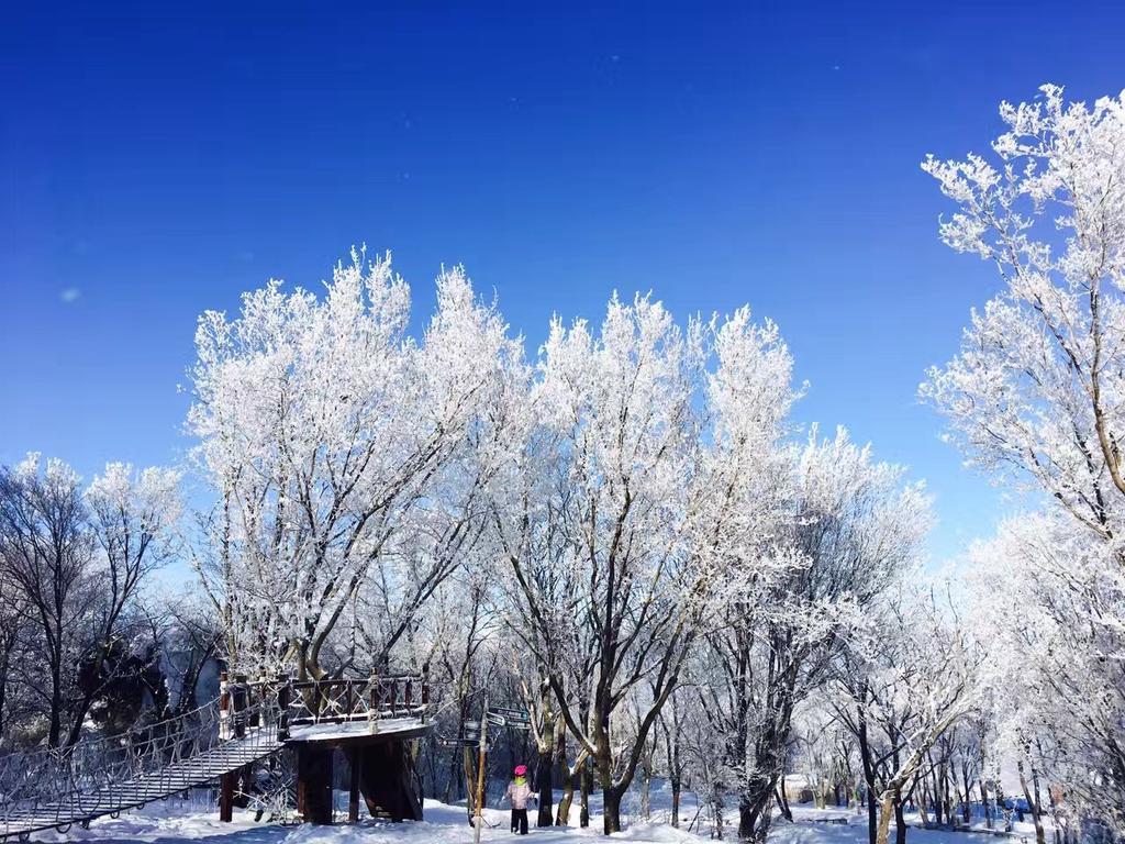 Songhua Lake Qingshan Snow View Apartment Jilin Екстер'єр фото